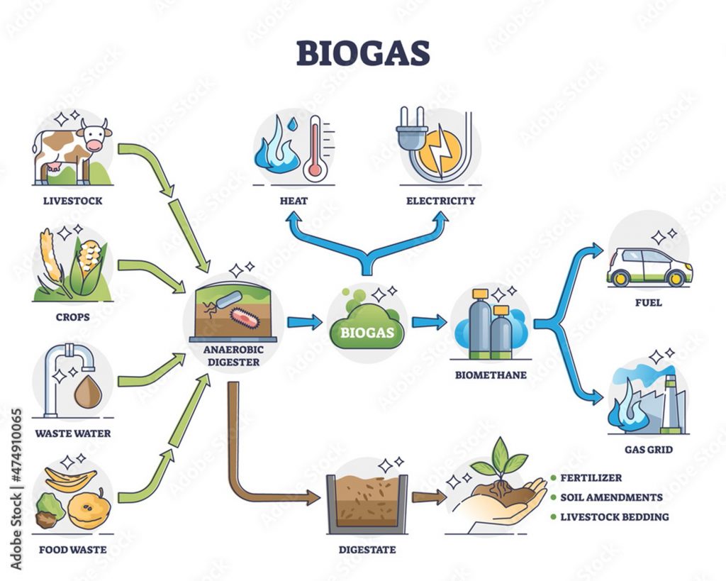 biogás y economía circular.
