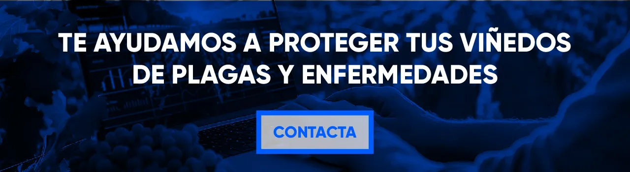 Tecnología avanzada para un control eficiente de plagas y enfermedades en viñedos